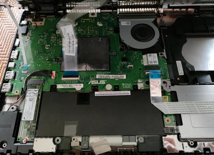 休眠是什么意思