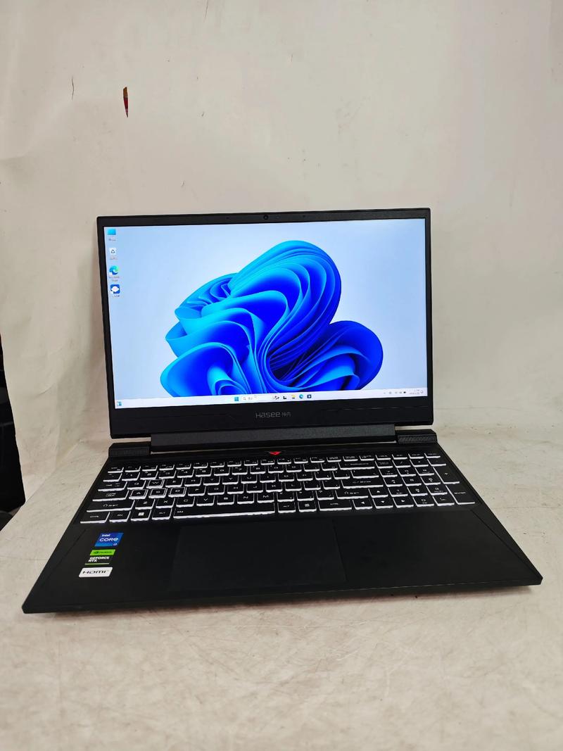 神舟笔记本是哪国的牌子