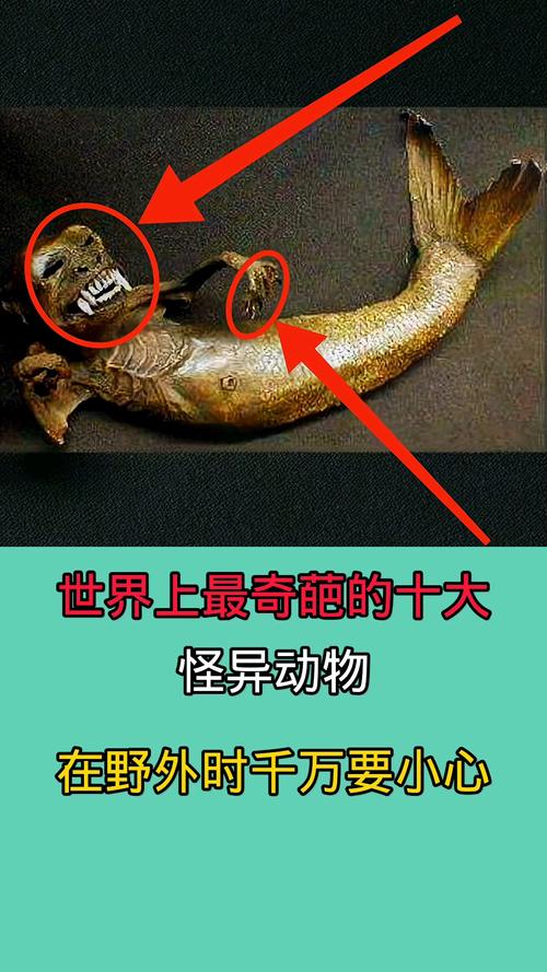 世界历史上最奇葩的是什么?