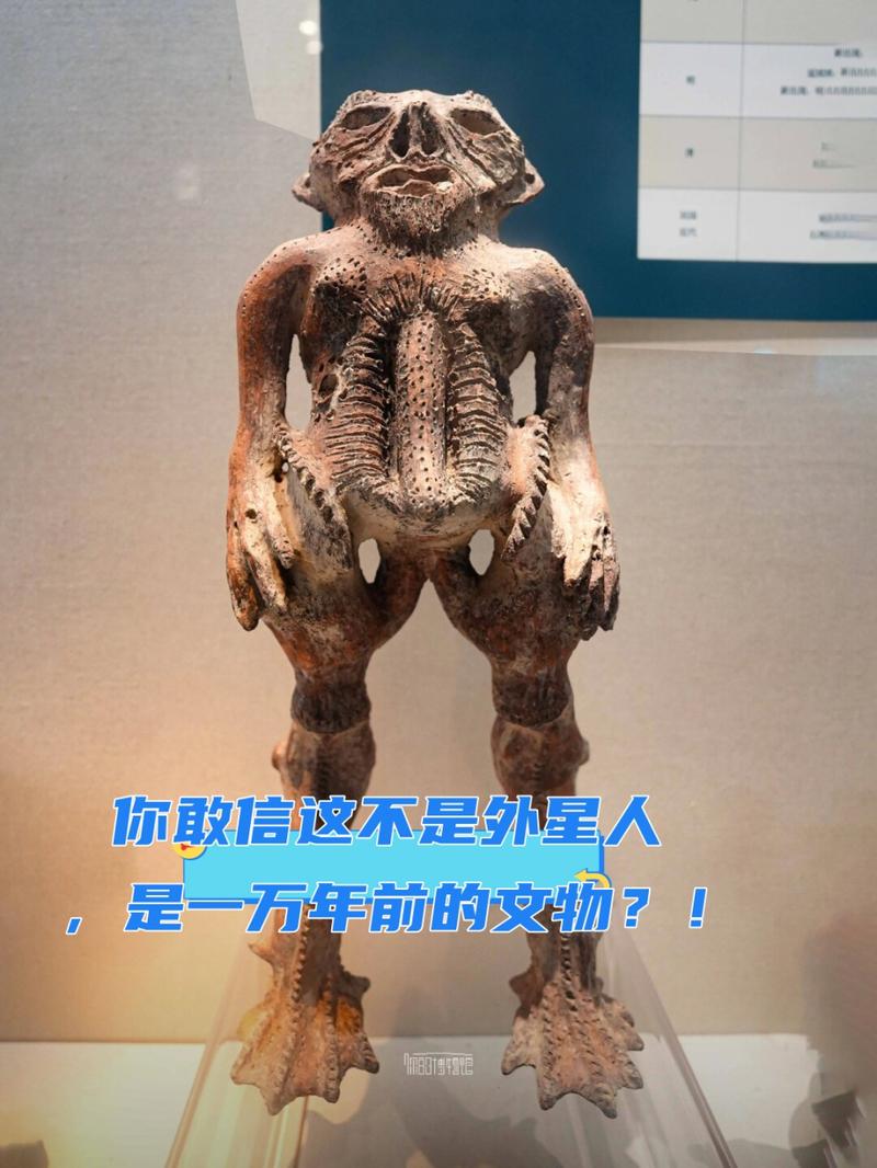 sn有着何种意义呢?