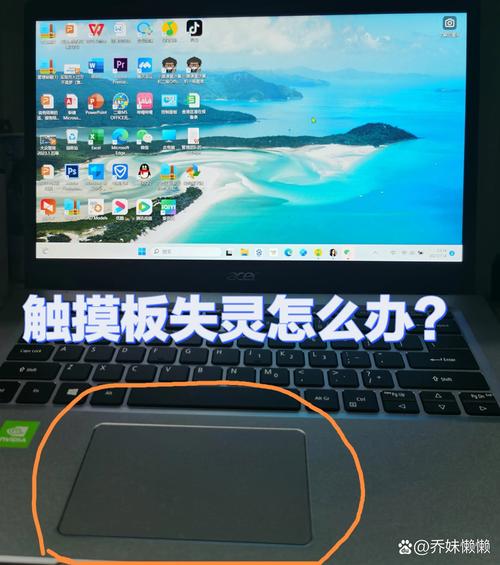笔记本触摸板失灵屏幕卡住不动