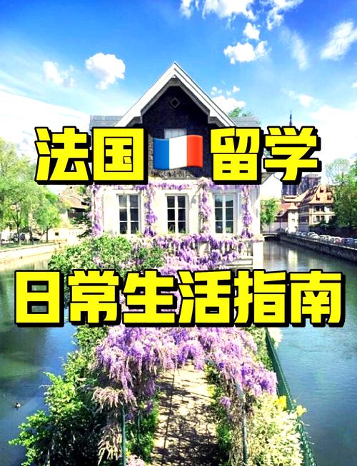 中年人怎样学电脑快速入门自学