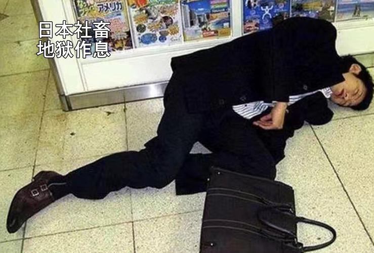 穿越寻宝记社畜的日常怎么过_特殊关卡社畜的日常通关攻略