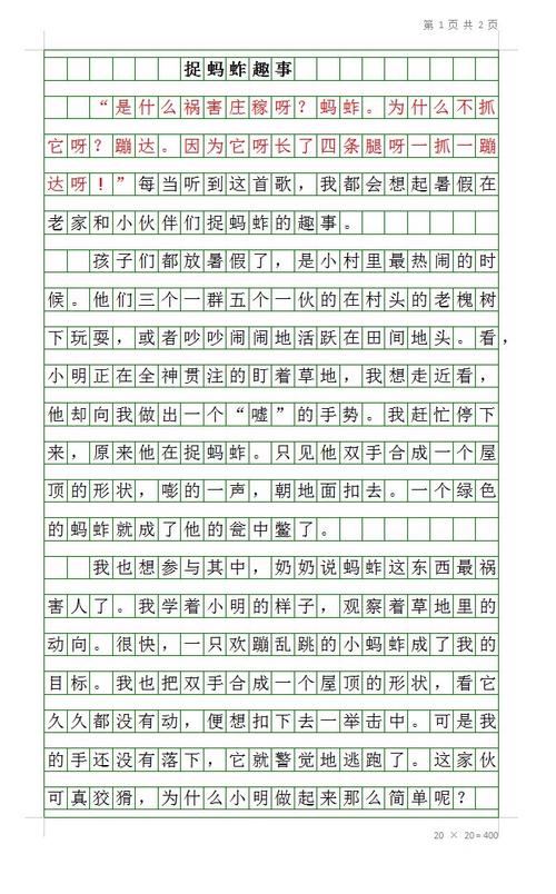 乐趣四年级作文