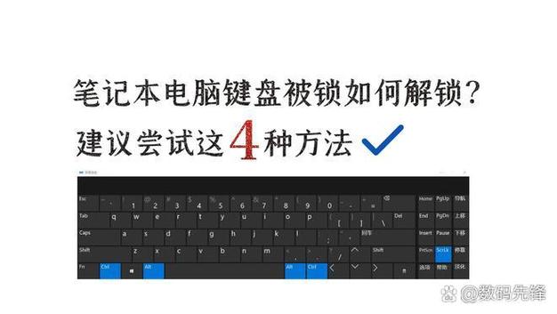笔记本电脑(宏碁)在使用过程中键盘突然失灵没办法打字。只有鼠标管用...