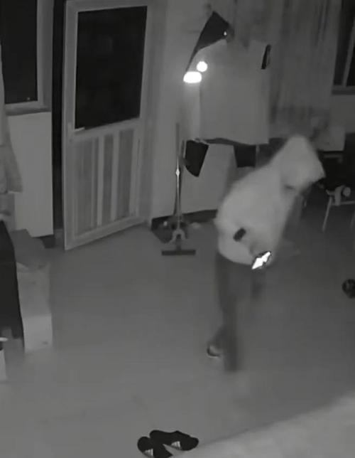 学生用比较好买什么笔记本电脑?尤其注重散热,因为个人比较喜欢玩单机游戏...