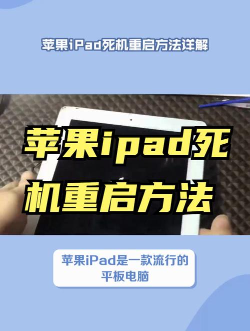 电脑死机怎么强制重新启动