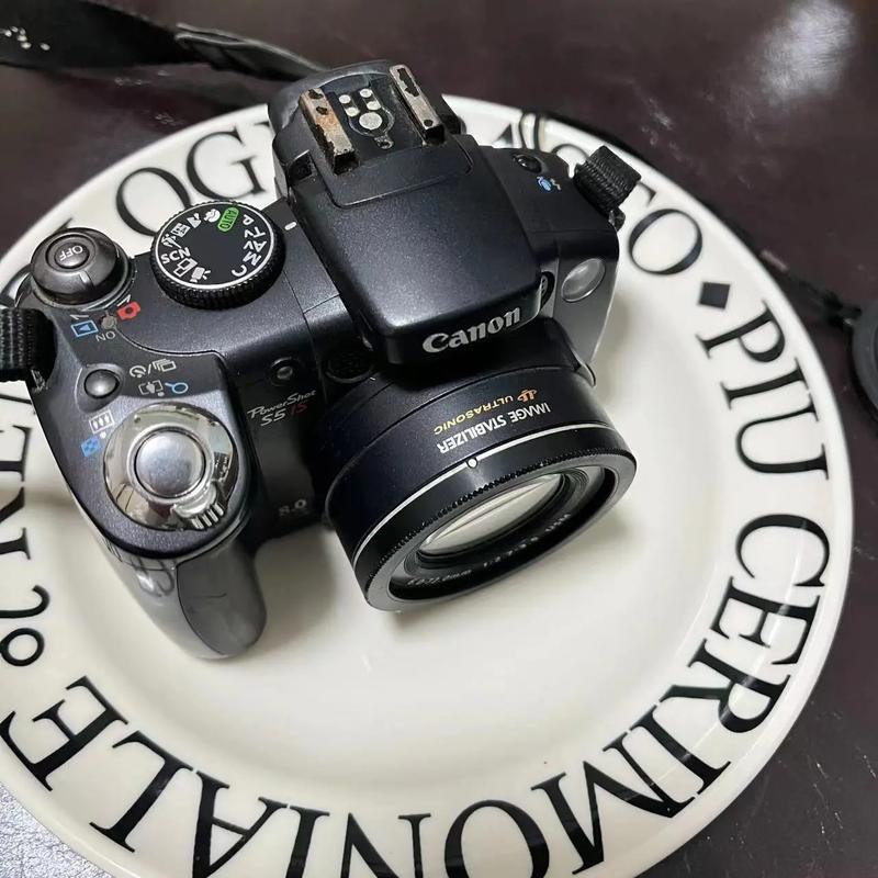 佳能相机s5is适合拍人吗