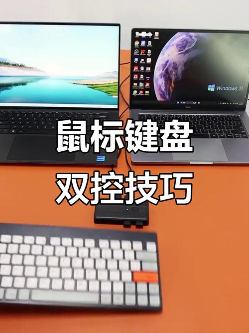 电脑上可以接两个鼠标吗?