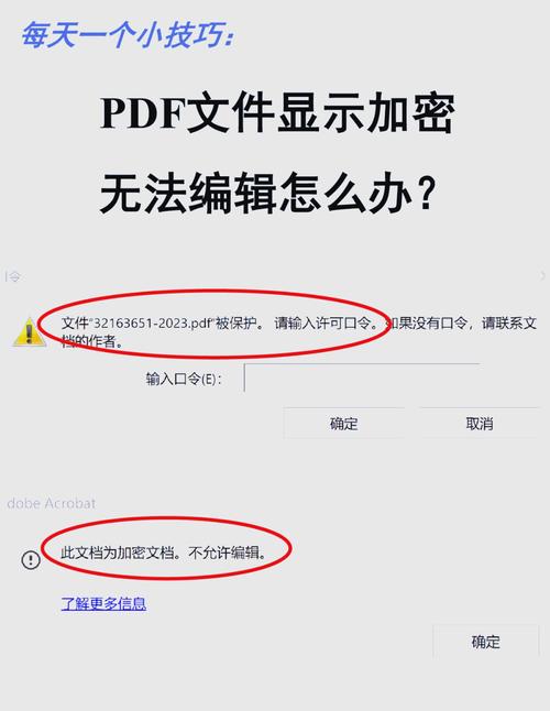 如何解除文件夹加密啊?