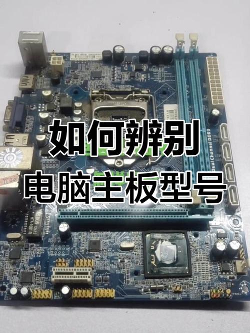如何查看电脑主板型号?