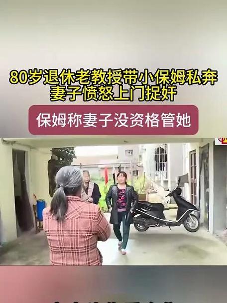 老教授与小保姆(11)