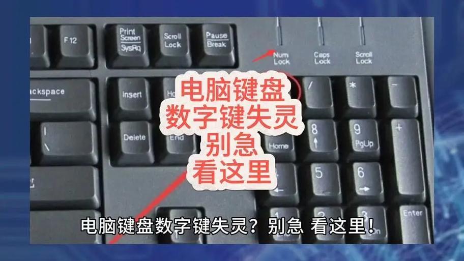 笔记本电脑为什么按了数字键盘没有作用