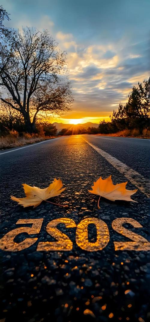 手机屏幕亮度手机排名