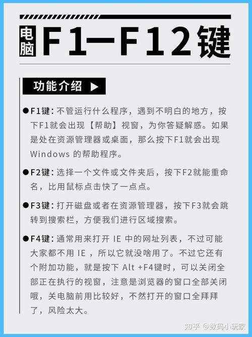笔记本电脑的f1到f12怎么按