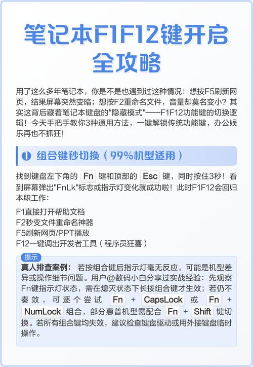 笔记本最上面一排的F1到F12什么的,怎么用?