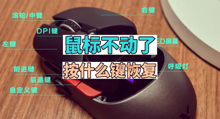 鼠标驱动怎么恢复