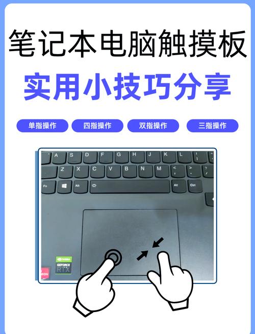 惠普笔记本1000触摸板驱动叫什么