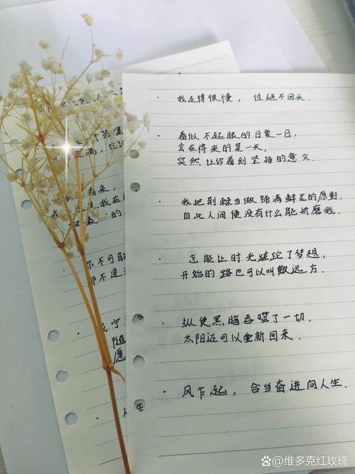 形容电脑好的句子