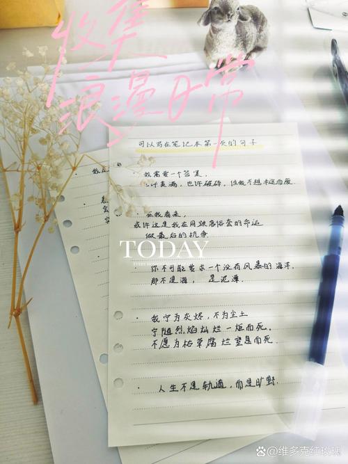 笔记本电脑的好评怎么写