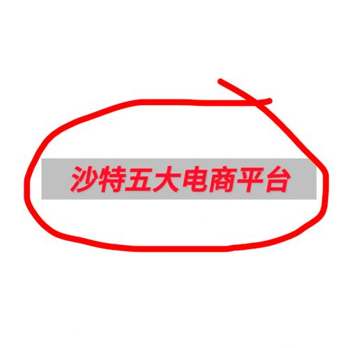 过段时间我要去沙特阿拉伯工作,想询问点问题