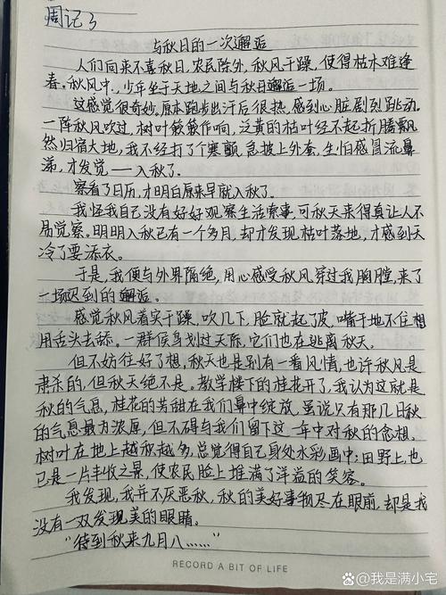 一篇随笔,(周记580字)