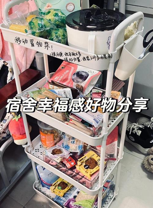 大学宿舍有哪些可以引起极度舒适的东西?