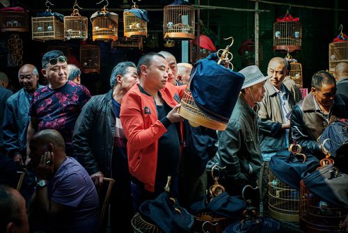 河北任丘的鸟市,都是几日是集呀?