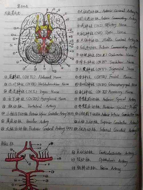 医学生用什么电脑比较好