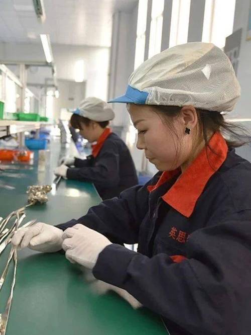 包头英思特去越南工厂干什么