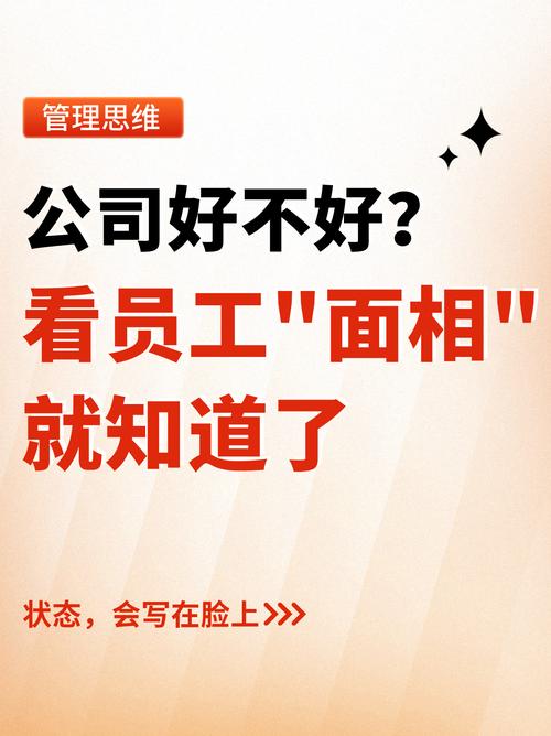 职场纪实:人员优化遇硬茬,青铜员工成王者!