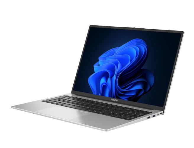 ...哪一款笔记本值得入手?新年狂欢节,神舟笔记本电脑值得入手