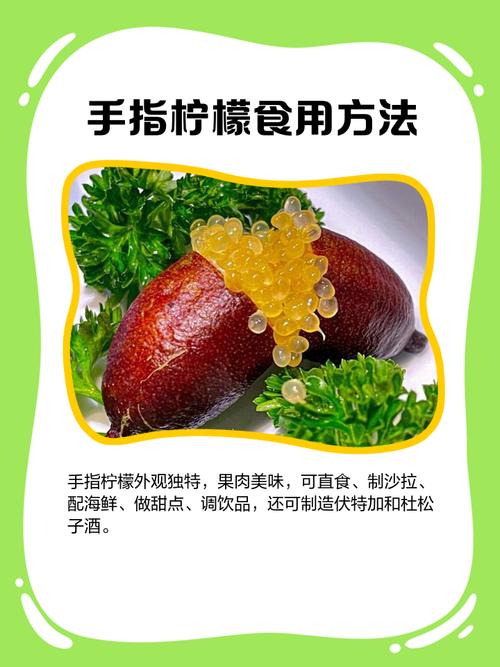 21世纪有哪些发明