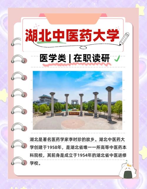 医学影像学电脑配置要多高学医学影像学需要电脑配置
