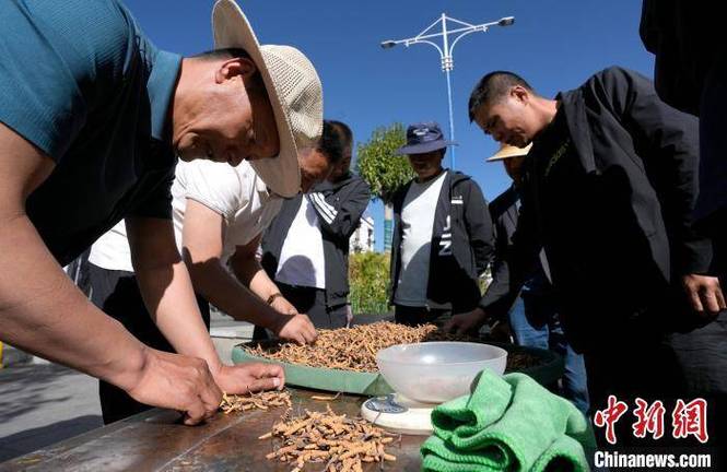 到西藏阿里地区旅游,有哪些注意事项?