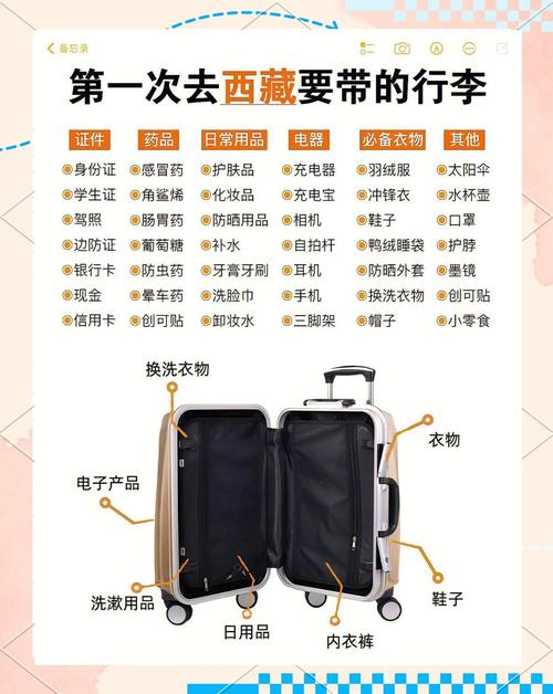 去西藏蒂什么东西