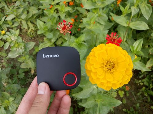 自由度高的单机游戏集成显卡玩