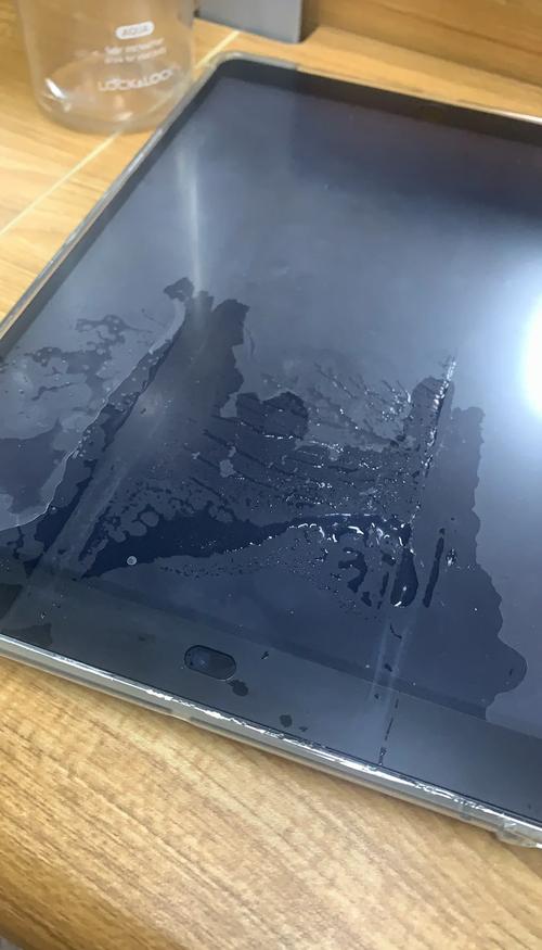 洛克王国什么宠物好打pve?