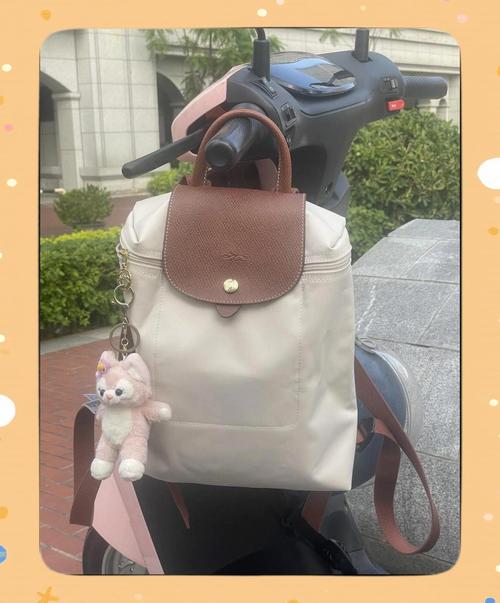 与女大学生完美适配的小珑骧