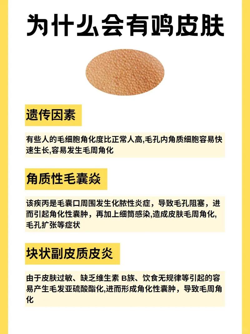 新年礼品采购忙,郑州平价有机海参热销