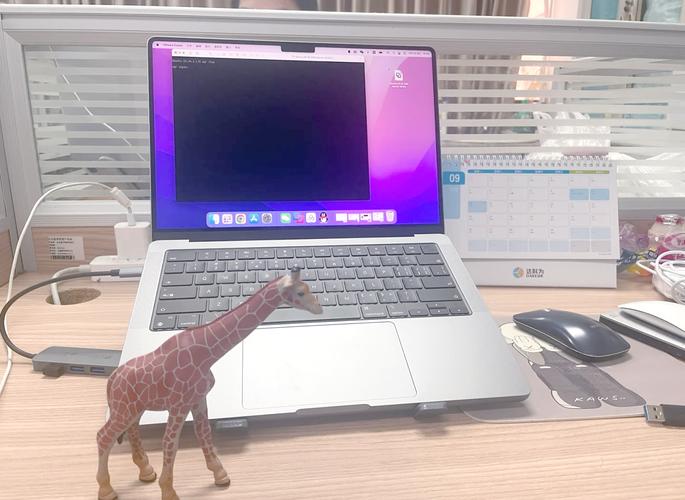 读研笔记本电脑推荐