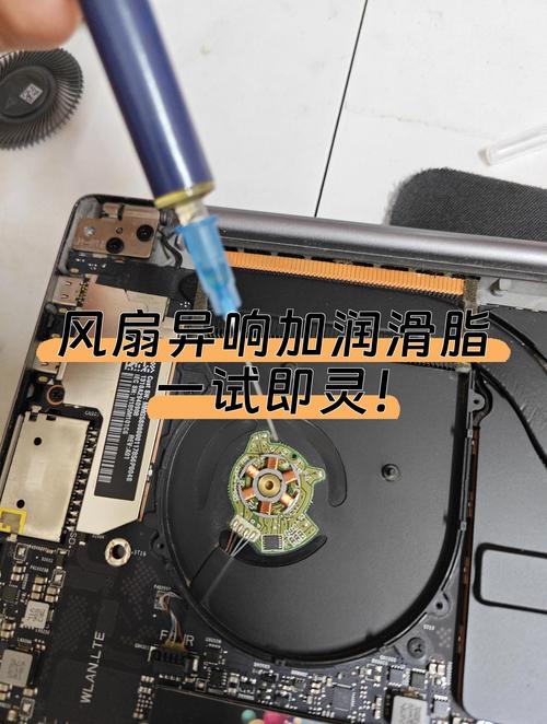 笔记本风扇噪音大,清洁完灰尘想上点润滑油,请问用什么油好?黄油(锂...