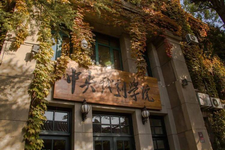 有戏剧文学专业的大学