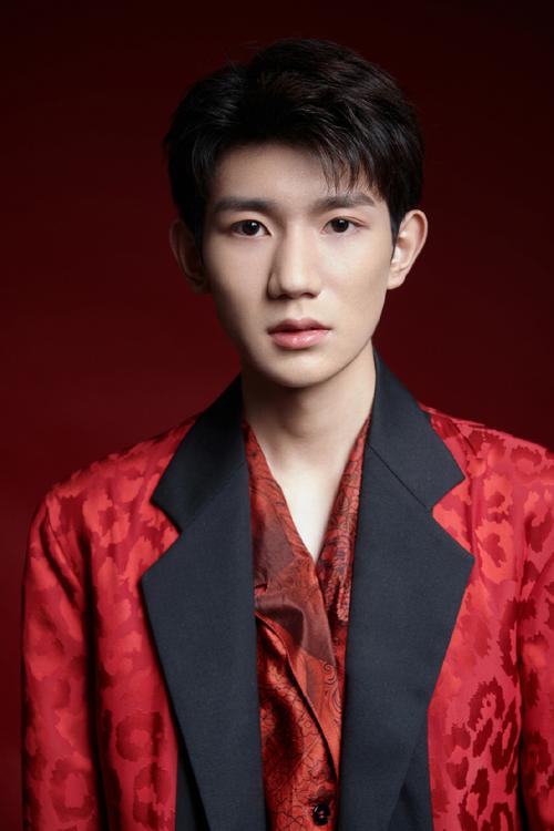 求王源的外貌描写