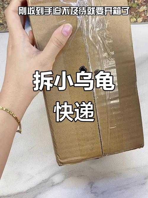 快递怎么打包乌龟