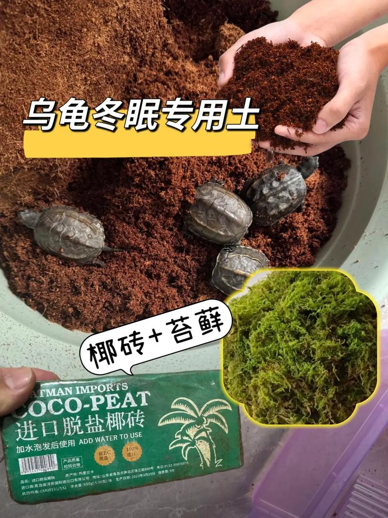 教你做可爱的有心的乌龟包,好吃又方便