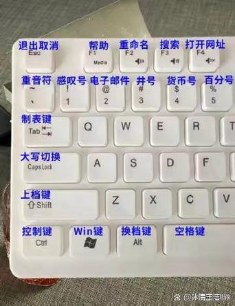 笔记本电脑怎么打王码九键