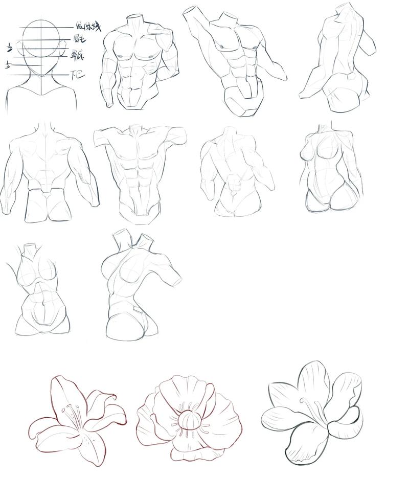 医疗插画素材-想学插画,怎么入门?