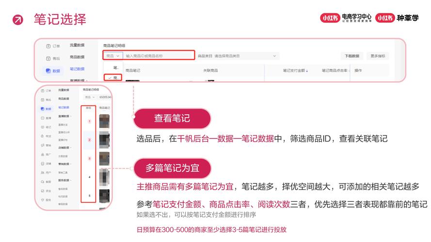 笔记本小红书千帆后台在哪里登陆
