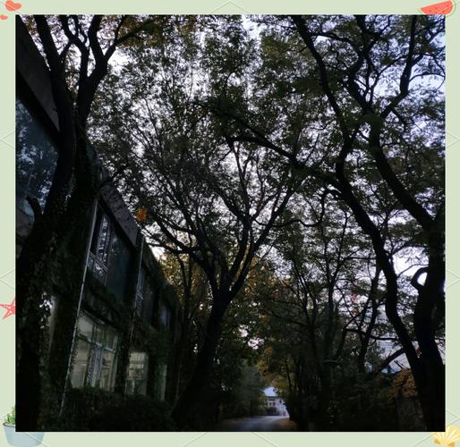 女生初中必备物品清单